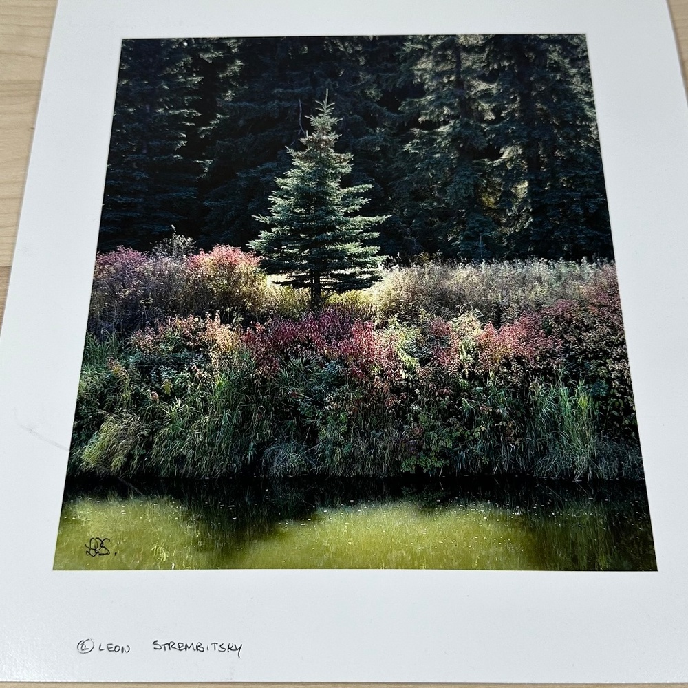 Art Print by Local Photographer/Artist Leon Strembitsky